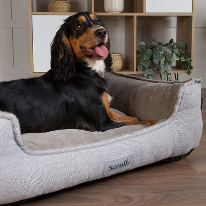 Scruffs Harvard Memory Foam Box Dog Bed - Pearl Grey
