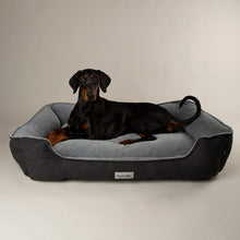 Scruffs Harvard Memory Foam Box Dog Bed - Graphite Grey