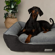 Scruffs Harvard Memory Foam Box Dog Bed - Graphite Grey