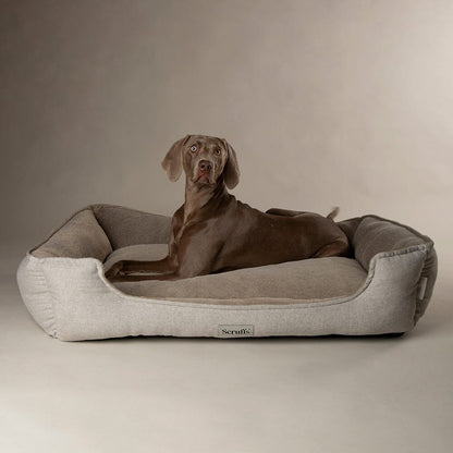 Scruffs Harvard Memory Foam Box Dog Bed - Pearl Grey