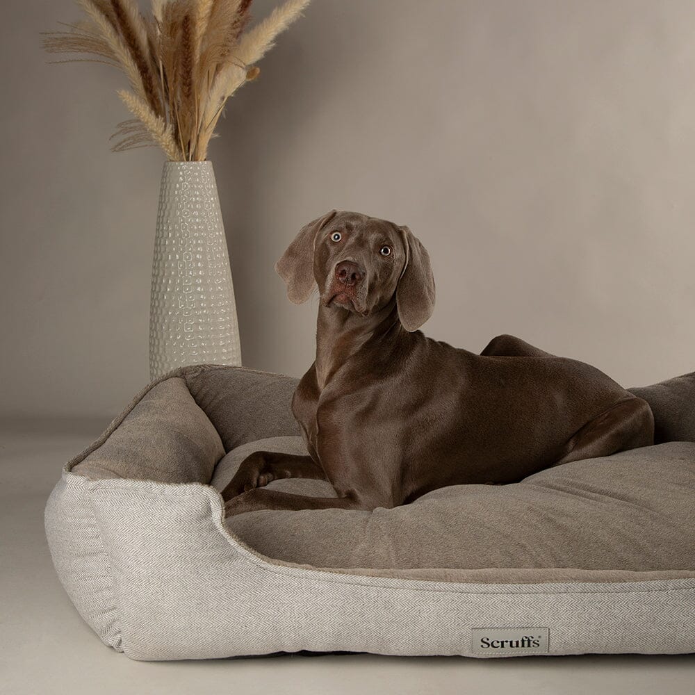 Scruffs Harvard Memory Foam Box Dog Bed - Pearl Grey