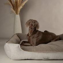 Scruffs Harvard Memory Foam Box Dog Bed - Pearl Grey