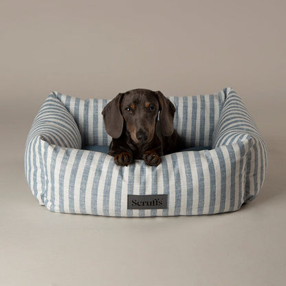 Scruffs Coastal Box Dog Bed - Blue