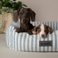 Scruffs Coastal Box Dog Bed - Blue