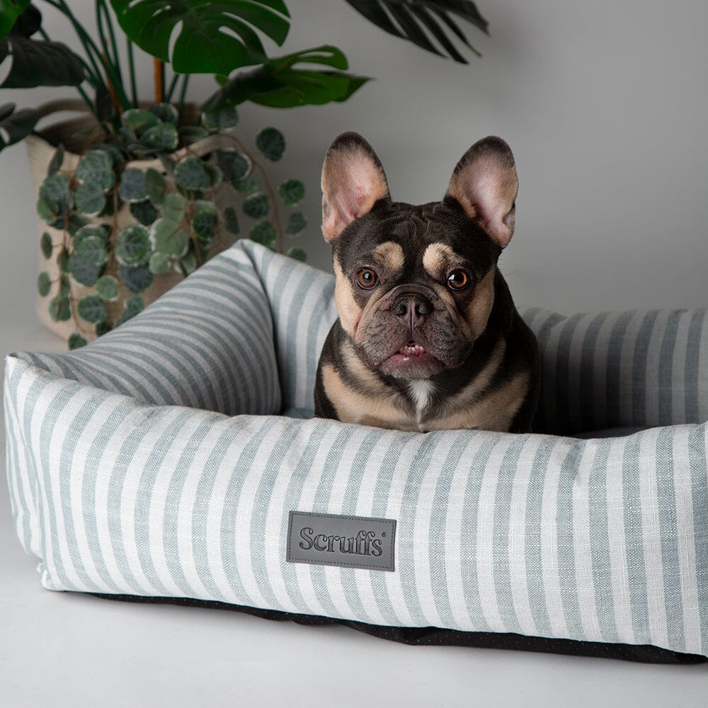 Scruffs Coastal Box Dog Bed - Green