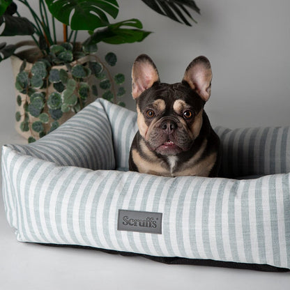 Scruffs Coastal Box Dog Bed - Green
