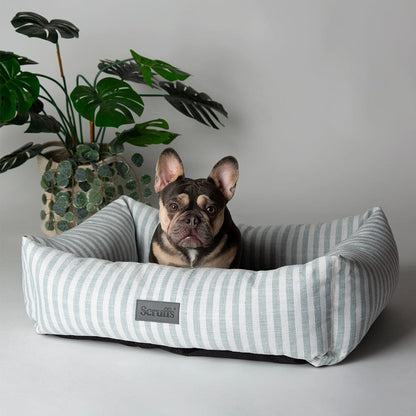 Scruffs Coastal Box Dog Bed - Green