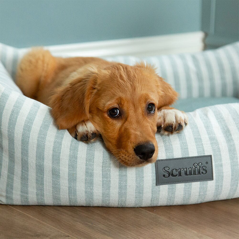Scruffs Coastal Box Dog Bed - Green