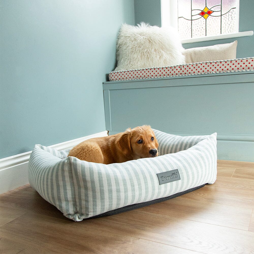 Scruffs Coastal Box Dog Bed - Green