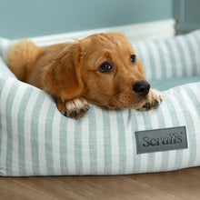 Scruffs Coastal Box Dog Bed - Green