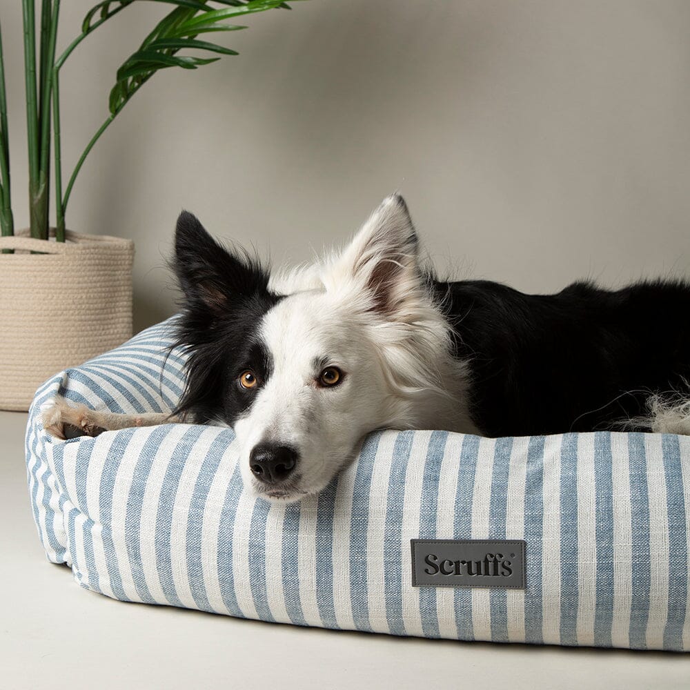 Scruffs Coastal Box Dog Bed - Blue