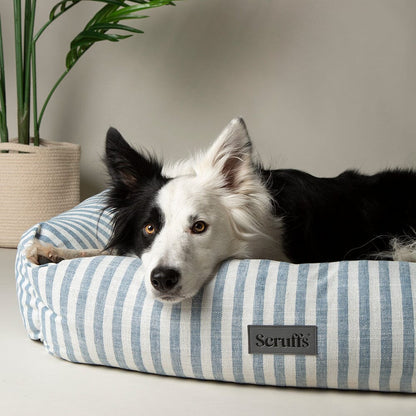 Scruffs Coastal Box Dog Bed - Blue