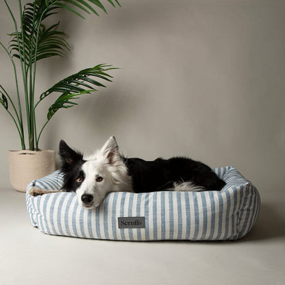 Scruffs Coastal Box Dog Bed - Blue