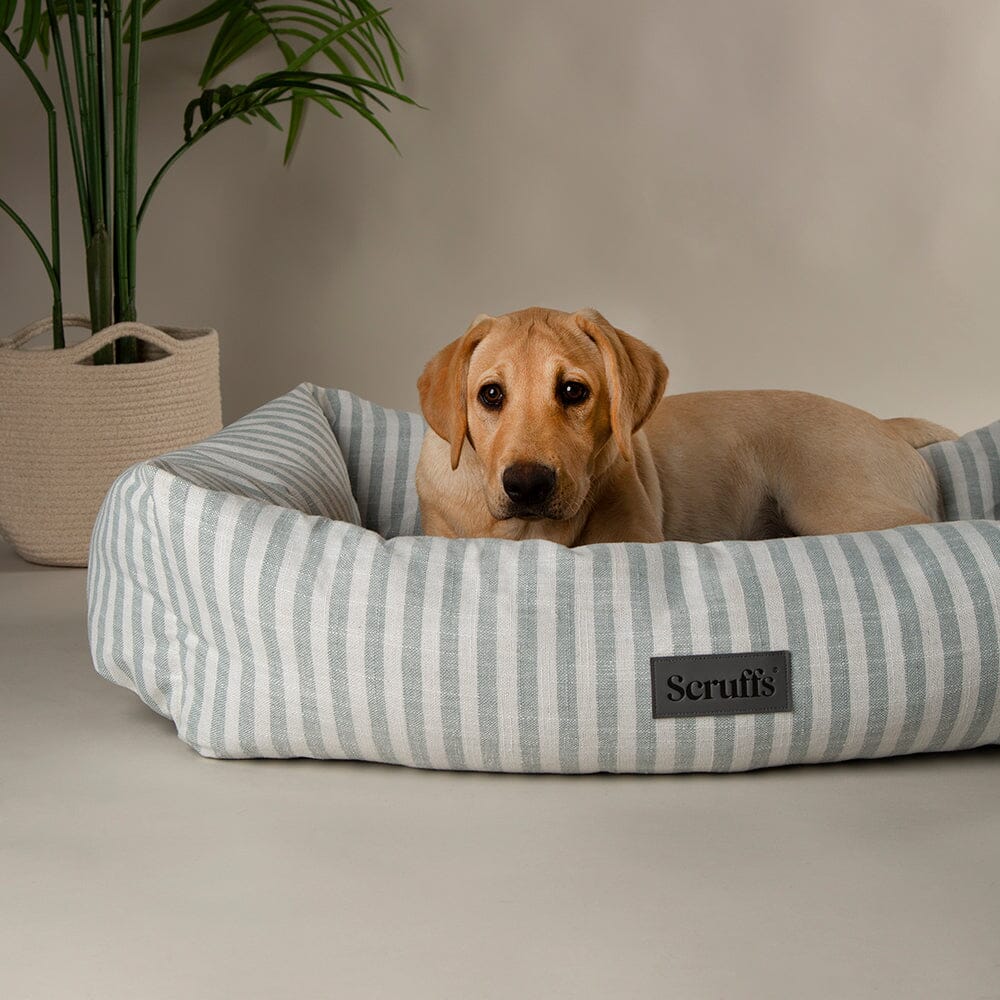 Scruffs Coastal Box Dog Bed - Green