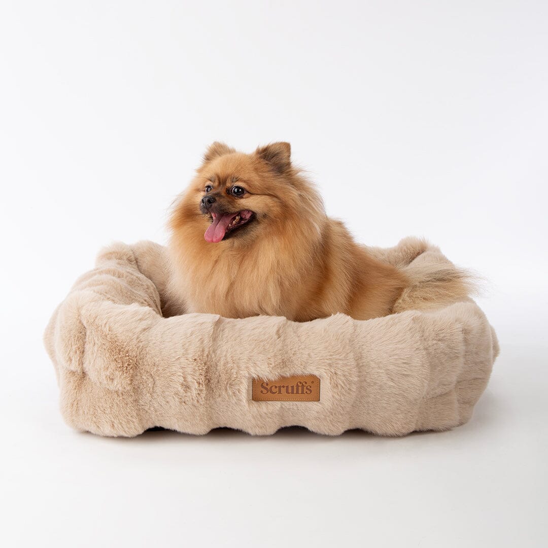 Scruffs Alpine Box Dog Bed - Champagne