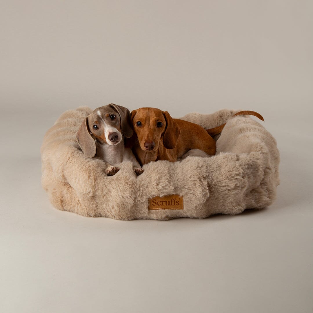 Scruffs Alpine Box Dog Bed - Champagne