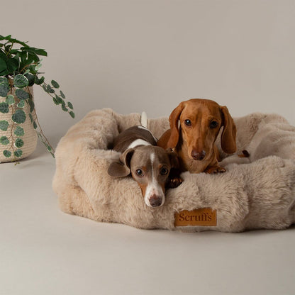 Scruffs Alpine Box Dog Bed - Champagne