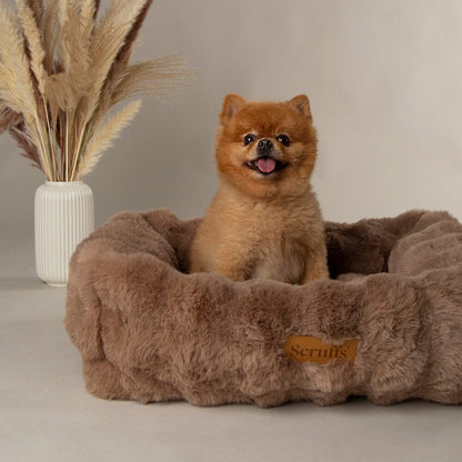 Scruffs Alpine Box Dog Bed - Taupe