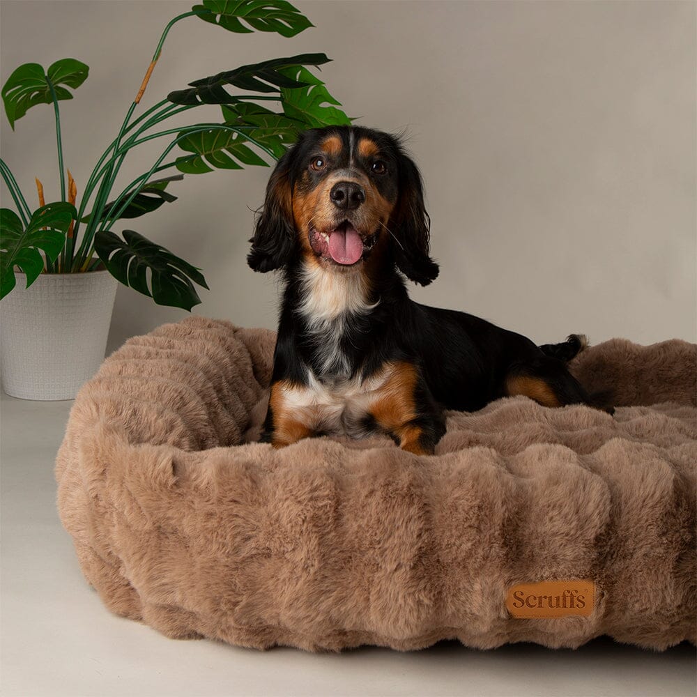 Scruffs Alpine Box Dog Bed - Taupe