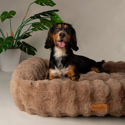 Scruffs Alpine Box Dog Bed - Taupe