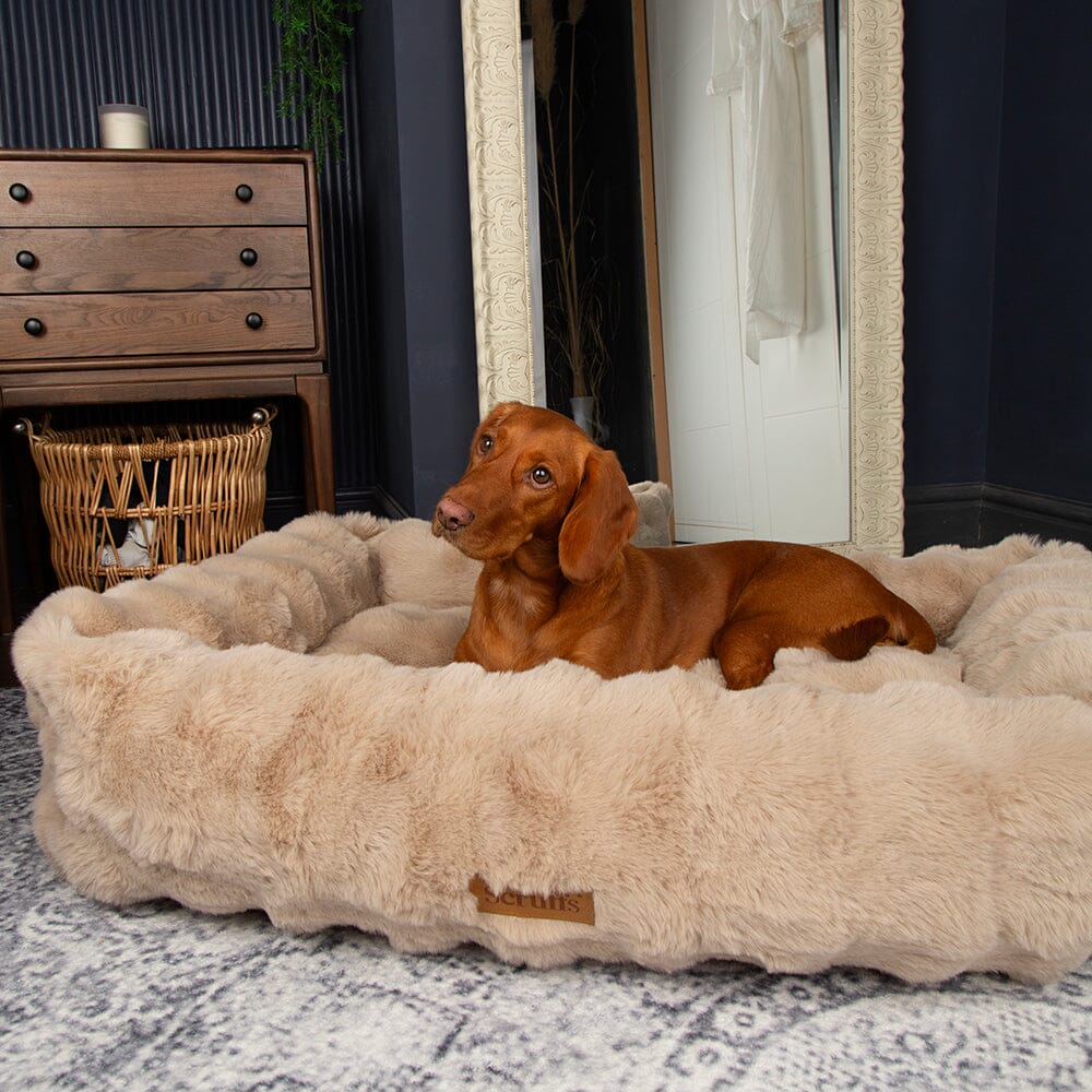 Scruffs Alpine Box Dog Bed - Champagne