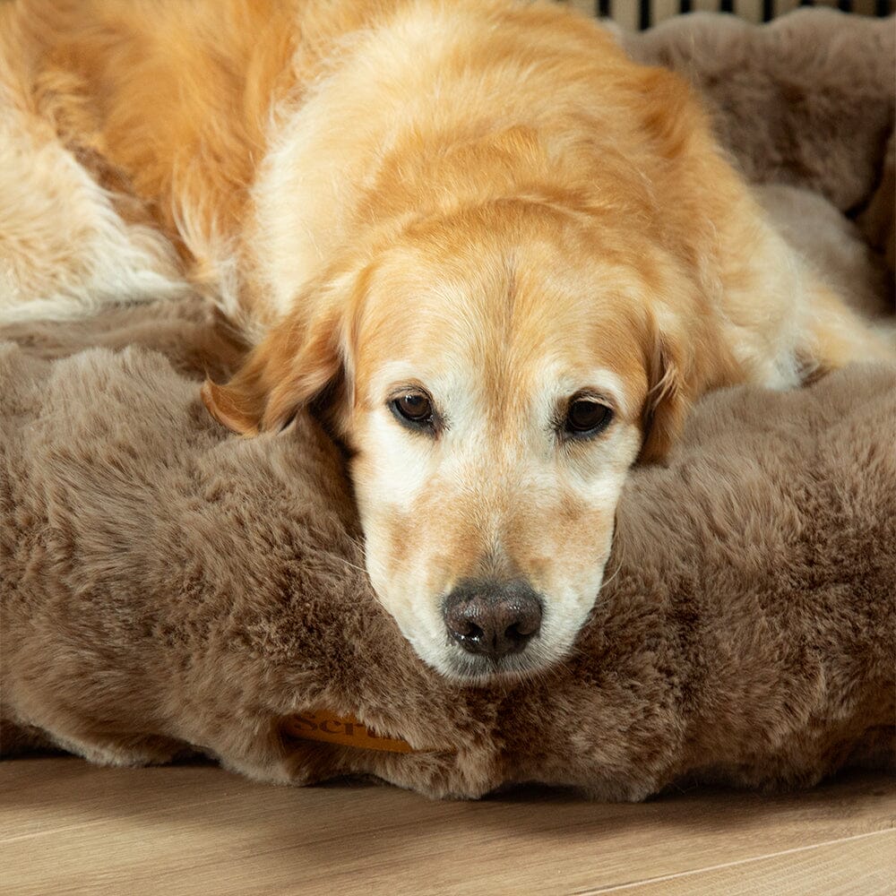 Scruffs Alpine Box Dog Bed - Taupe