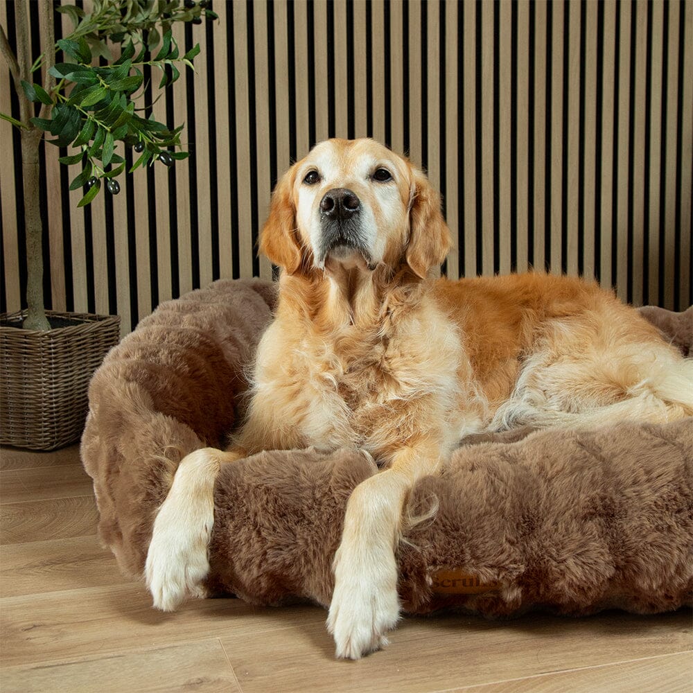 Scruffs Alpine Box Dog Bed - Taupe