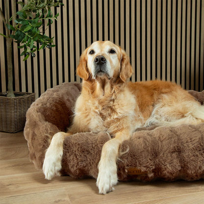 Scruffs Alpine Box Dog Bed - Taupe