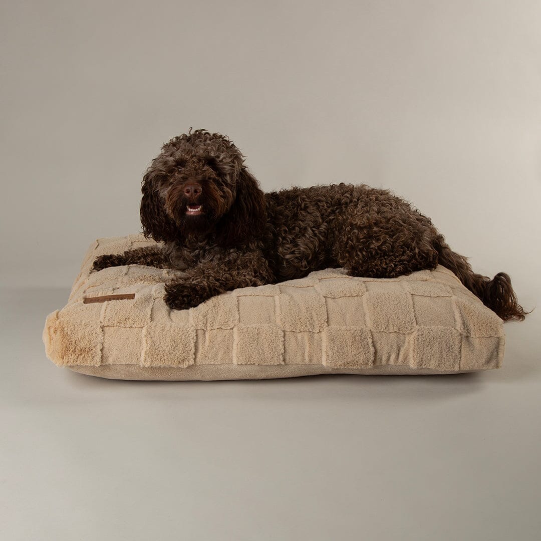 Scruffs Oxford Orthopaedic Mattress Dog Bed - Tan