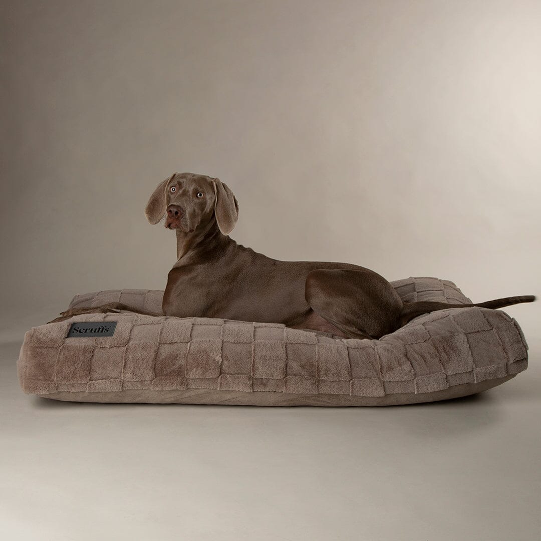 Scruffs Oxford Orthopaedic Mattress Dog Bed - Silver