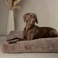 Scruffs Oxford Orthopaedic Mattress Dog Bed - Silver