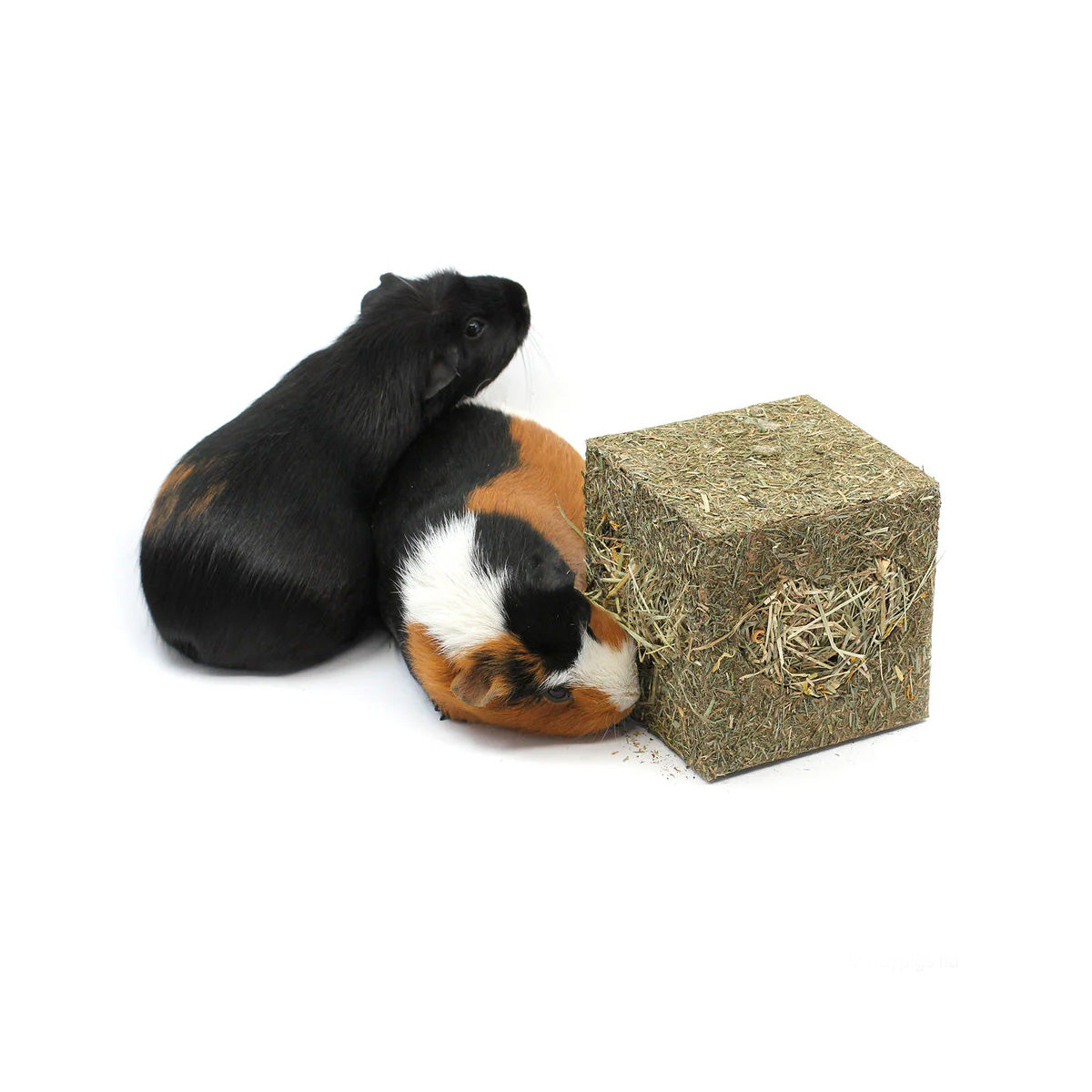 Rosewood Naturals I Love Hay Cube - Medium