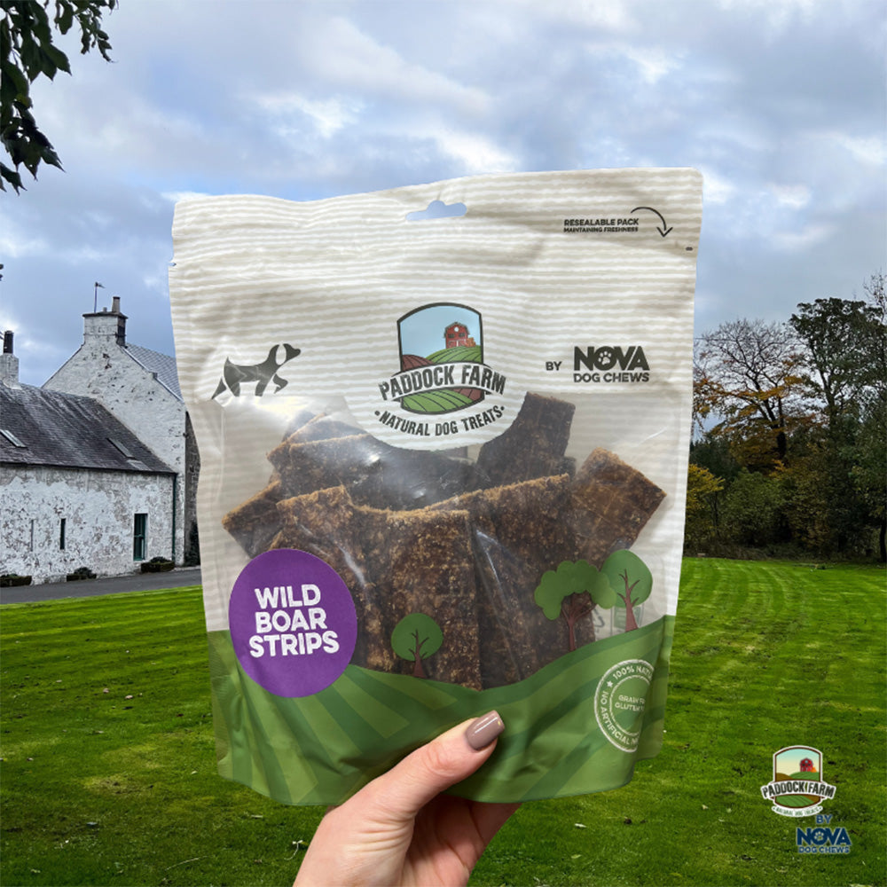 Paddock Farm 100% Wild Boar Strips Dog Chew - 500g