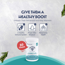 Pet Vitality Allergy Aid For Dogs – 60 Chews