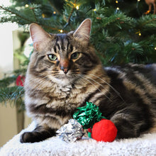 Rosewood Christmas Cat Toy Stocking