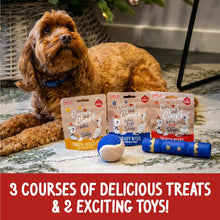 Rosewood Cupid and Comet Christmas Dinner Dog Stocking with Toys