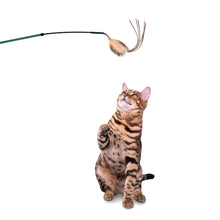 One Fast Cat Laser Wand