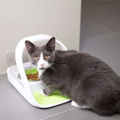 SureFeed Microchip Pet Feeder Connect