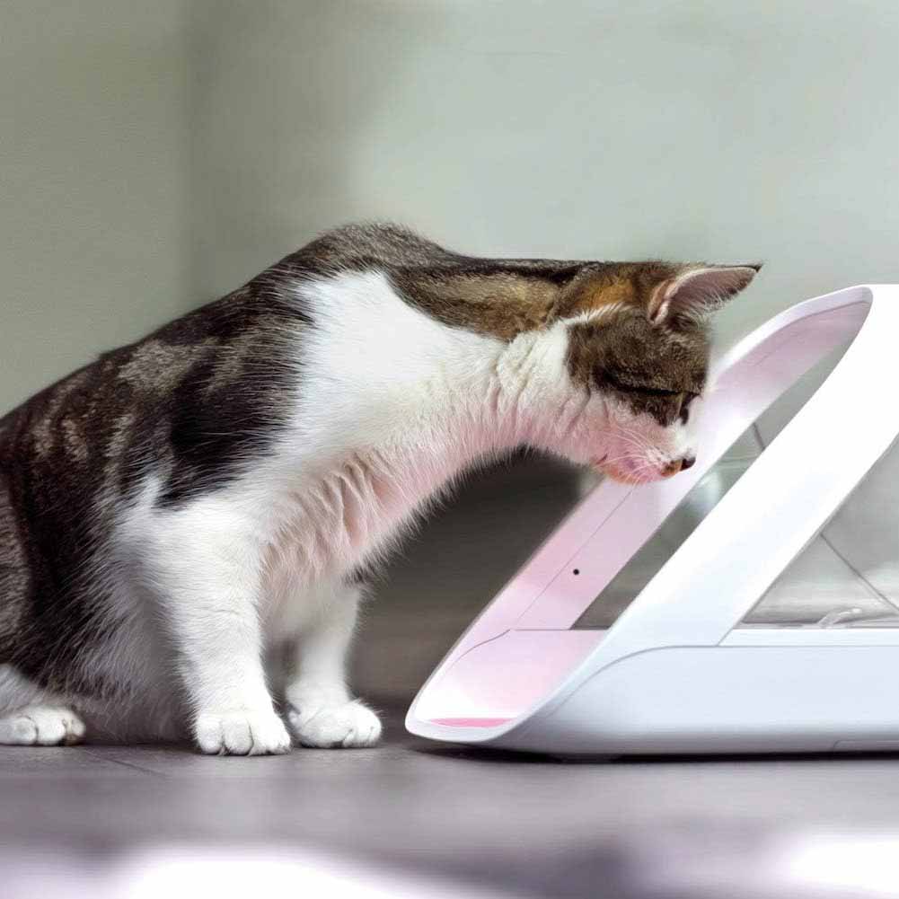 SureFeed Microchip Pet Feeder Connect