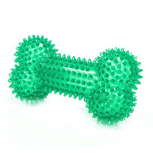 Barkshire TPR Bone Dog Toy