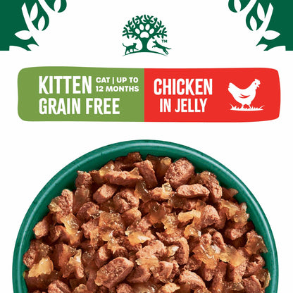 James Wellbeloved Kitten Grain Free Wet Cat Food in Jelly - Chicken - 12x85g Pouches