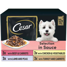 CESAR Deliciously Fresh Favourites Adult Wet Dog Food in Sauce - 12x100g Pouches