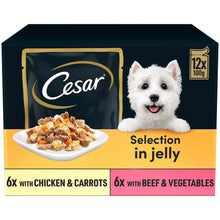 CESAR Deliciously Fresh Favourites Adult Wet Dog Food in Jelly - 12x100g Pouches