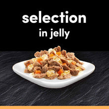 CESAR Deliciously Fresh Favourites Adult Wet Dog Food in Jelly - 12x100g Pouches