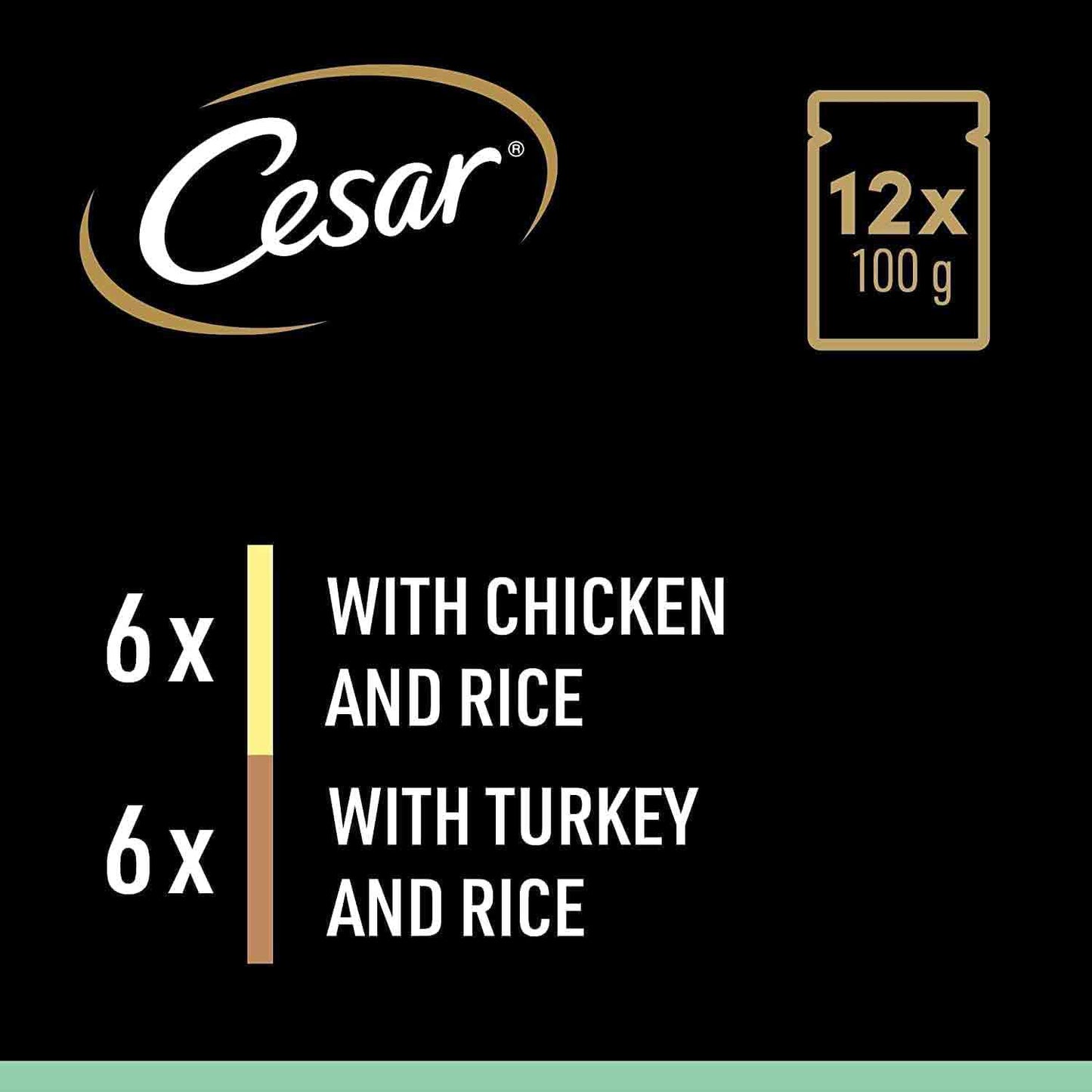 CESAR Mixed Selection Senior Wet Dog Food in Sauce - 12x100g Pouches