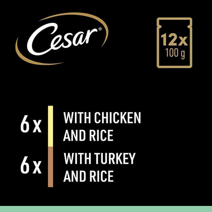 CESAR Mixed Selection Senior Wet Dog Food in Sauce - 12x100g Pouches