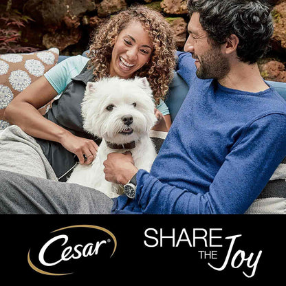 CESAR Deliciously Fresh Mixed Selection Senior 10+ Wet Dog Food in Jelly - 12x100g Pouches