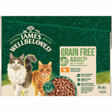 James Wellbeloved Adult Grain Free Wet Cat Food in Gravy - Turkey - 24x85g Pouches BUMPER PACK
