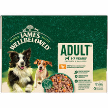 James Wellbeloved Adult Wet Dog Food in Gravy - Turkey & Rice - 12x90g Pouches