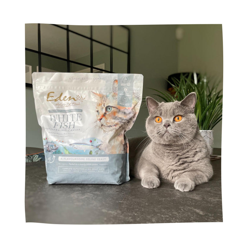 Eden Feline Feast White Fish & Herring Caviar Dry Cat Food